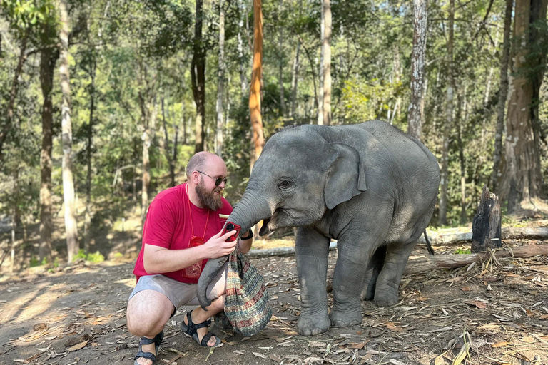 Chiang Mai 2-Day: Good Morning Elephant & Overnight Homestay