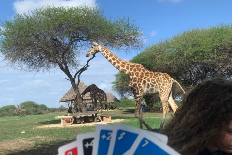 Mombasa: Geführter Naturspaziergang inmitten von Giraffen