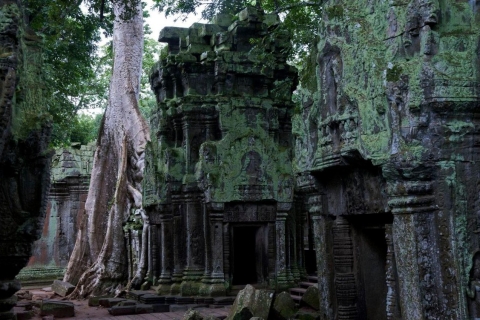 3 jours - Ensemble de temples d'Angkor, groupe de Rolous et village flottant