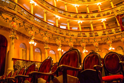 Visite de la ville de Manaus avec le théâtre de l&#039;Amazonie