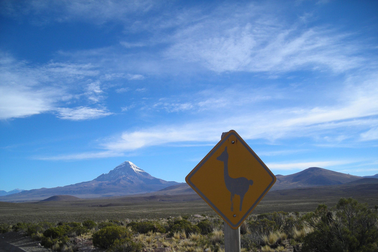 San Pedro de Atacama: Salar Uyuni - Sajama - La Paz. 5D/4N