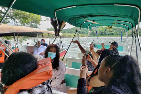 Panamá: Excursión a la Isla de los Monos, el Santuario de los Perezosos y el Lago Gatún