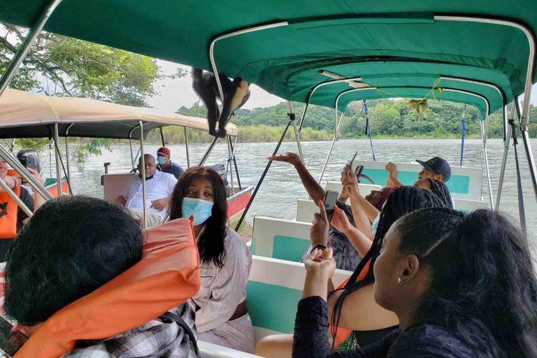 Panamá: Excursión a la Isla de los Monos, el Santuario de los Perezosos y el Lago Gatún