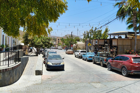 Tour Todos Santos Magical Town, Hotel California
