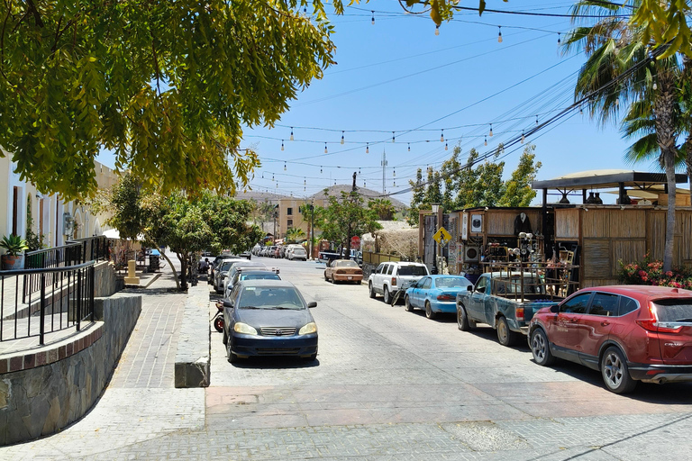 Tour Todos Santos Magical Town, Hotel California