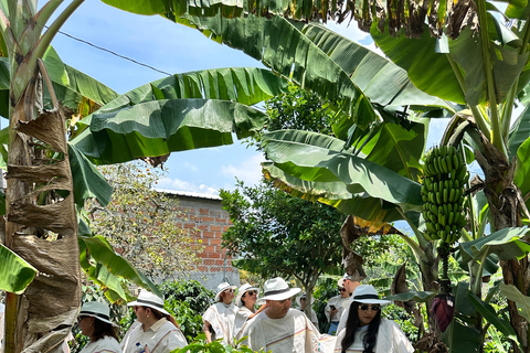 Coffee and Exotic Fruit Tour from Medellín with Lunch Coffee and Exotic Fruit Tour from Medellín with Lunch.