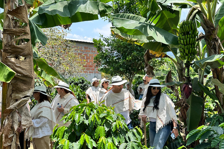 Coffee and Exotic Fruit Tour from Medellín with Lunch Coffee and Exotic Fruit Tour from Medellín with Lunch.