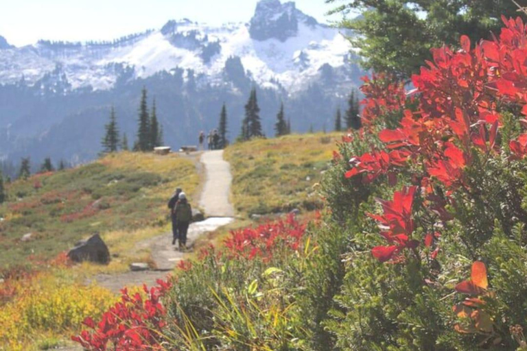 Tour particular pelo Monte Rainier saindo de Portland