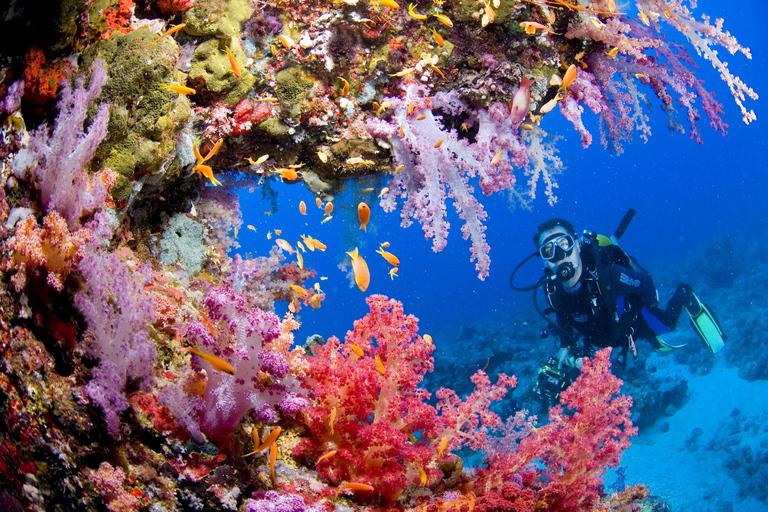 Essayez la plongée sous-marine à Racha Yai/noi : 3 plongées pour les non certifiésDiscover Scuba Diving(3dives)Débutants(plongeurs non certifiés)