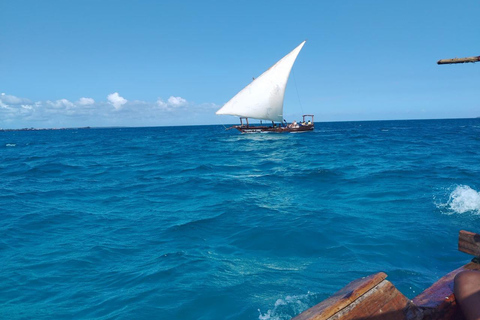 Zanzibar;Blue Safari Snorkeling & Blue Lagoon with BBQ lunch Pickup anywhere (All inclusive)