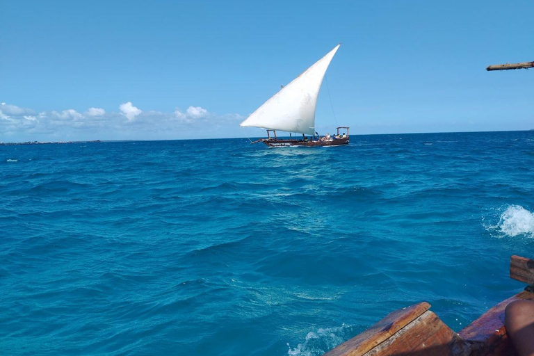 Zanzibar;Blue Safari Snorkeling & Blue Lagoon with BBQ lunch Pickup anywhere (All inclusive)