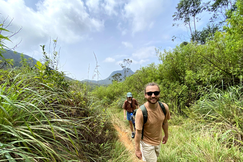 Tedo 7 Waterfalls Peak Adventure – Knuckles Mountain Range