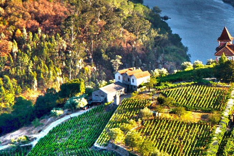 Porto: 3-Day Private Tour with Douro River Cruise
