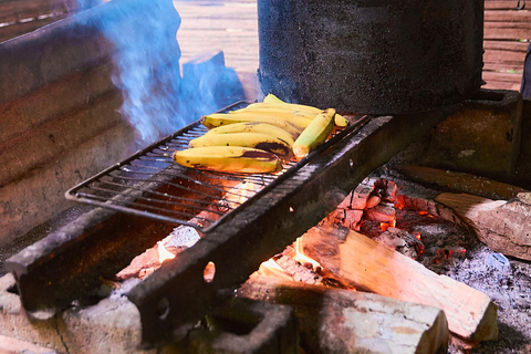 Cahuita National Park+Bribri Chocolate Tour+Waterfalls Tour+Lunch