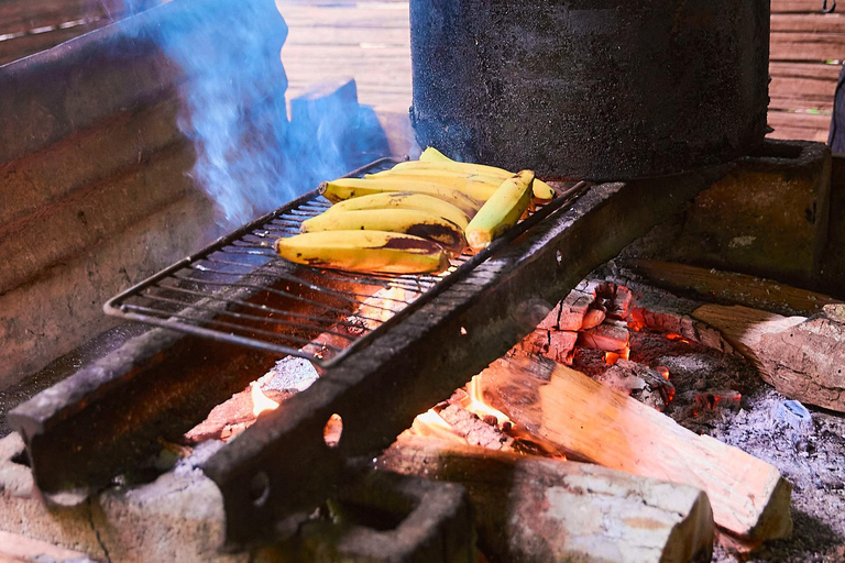 Cahuita National Park+Bribri Chocolate Tour+Waterfalls Tour+Lunch