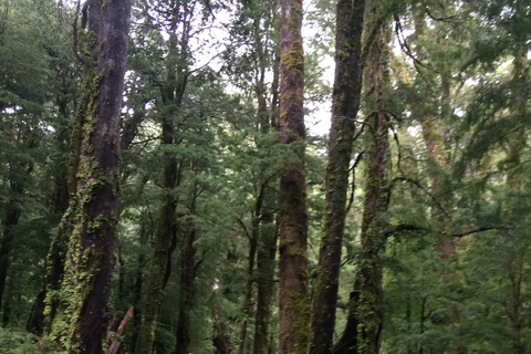 Parque Nacional Huerquehue dia inteiro