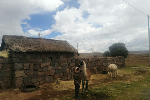 Tour by Tourist Bus Chullpas de Sillustani Inca Cemetery