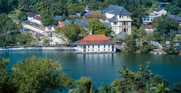 From Bentota: Kandy Tour with Tooth Temple & Gardens Visit