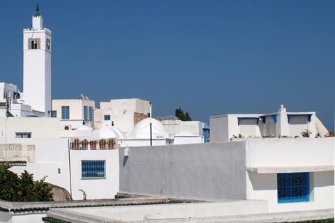 From Hammamet & Sousse: Sunset Tour of Sidi Bou Said and Carthage