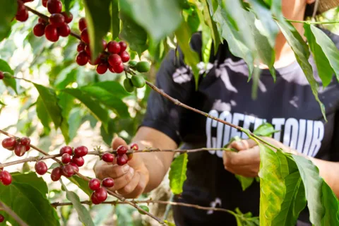 Koffietour in Antigua Guatemala