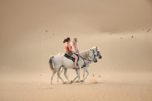 Al Shahama: Desert Horseback Riding Adventure