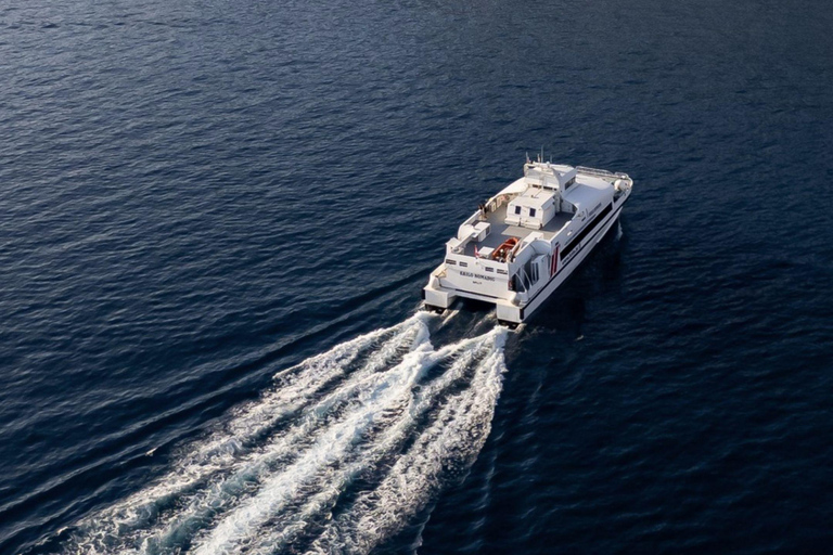 Hvar: Catamaran Journey Between Hvar and Dubrovnik Dubrovnik → Hvar (One Way)