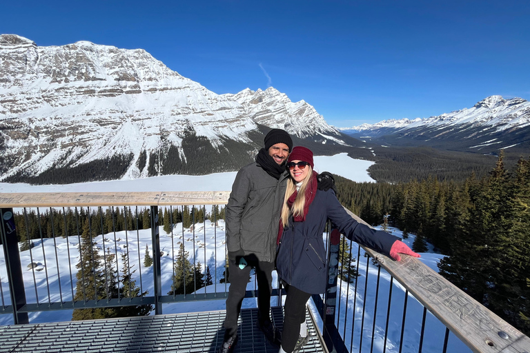 Athabasca Falls/Abraham,Sunwapta Falls, Icefield, Peyto Lake