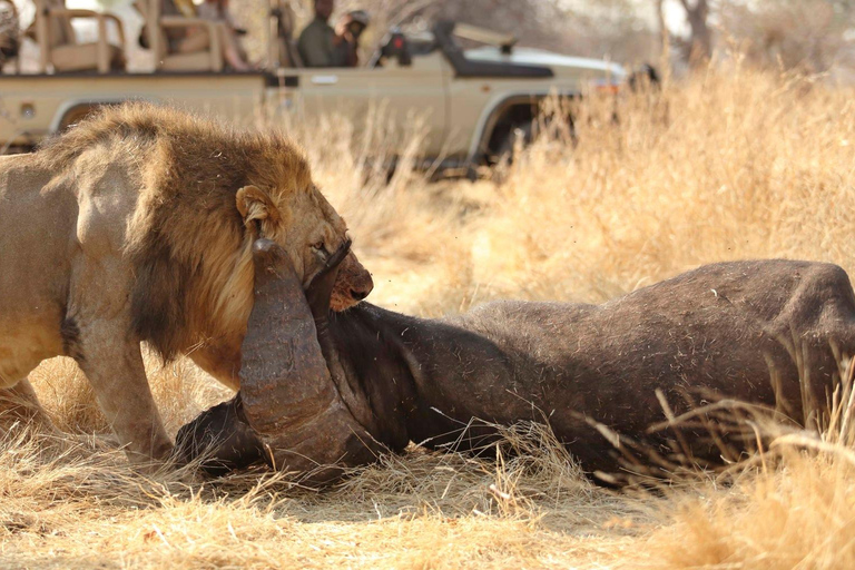 7-tägige Gruppensafari ab Sansibar: