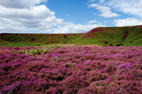 From York: Yorkshire Moors and Whitby Small-Group Day Trip