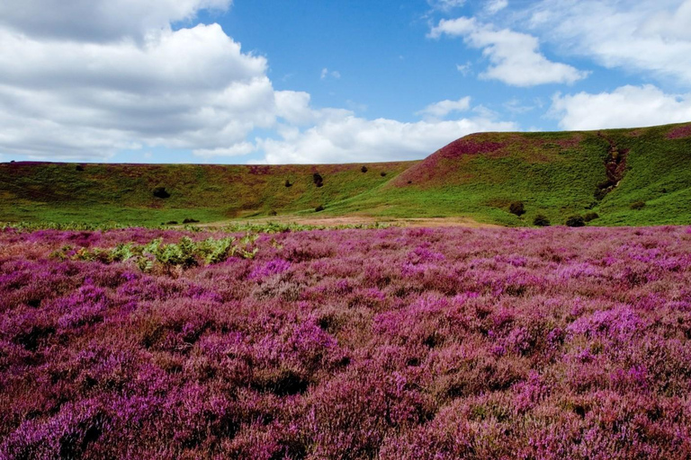 From York: Yorkshire Moors and Whitby Small-Group Day Trip
