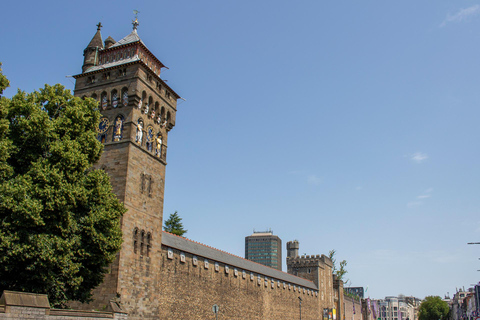Cardiff: Bay Trail, St Fagans & Cathedral Half Day Tour