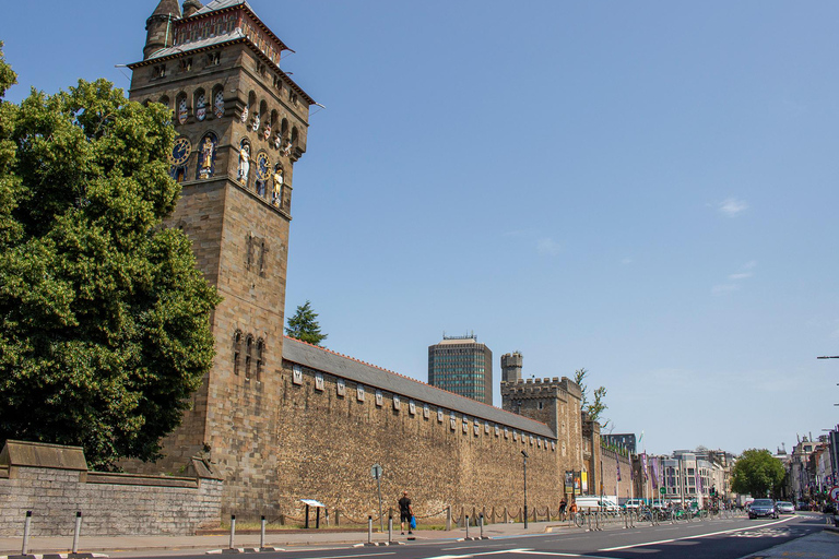Cardiff: Bay Trail, St Fagans & Cathedral Half Day Tour