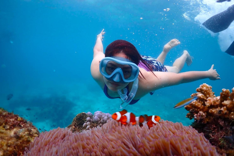 From Pattaya: Private Speedboat to Nemo Island with Snorkel From Pattaya: Private Speedboat Tour Samaesan with Snorkel