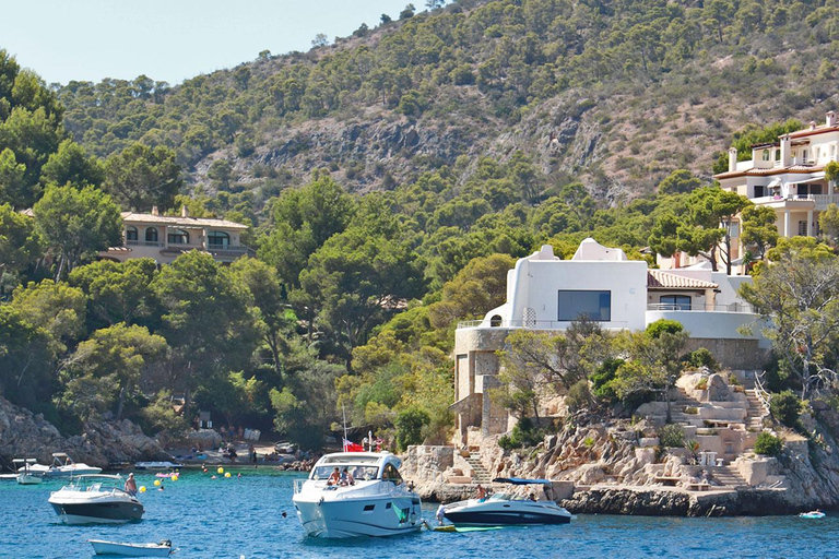 Mallorca: Passeio de catamarã de 2 horas pelo litoral e pelas Ilhas MalgratDe Playa Tora - à Tarde