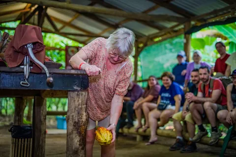 Excursions chocolatées dans la forêt tropicale