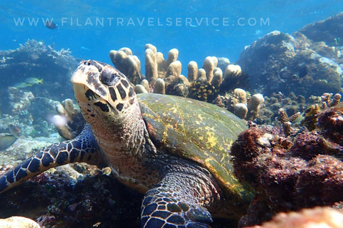 Bali: 2-Day Komodo National Park Tour