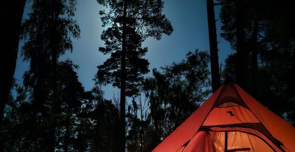 Kiruna: Sami Culture Northern Lights Ski Tour with Meal