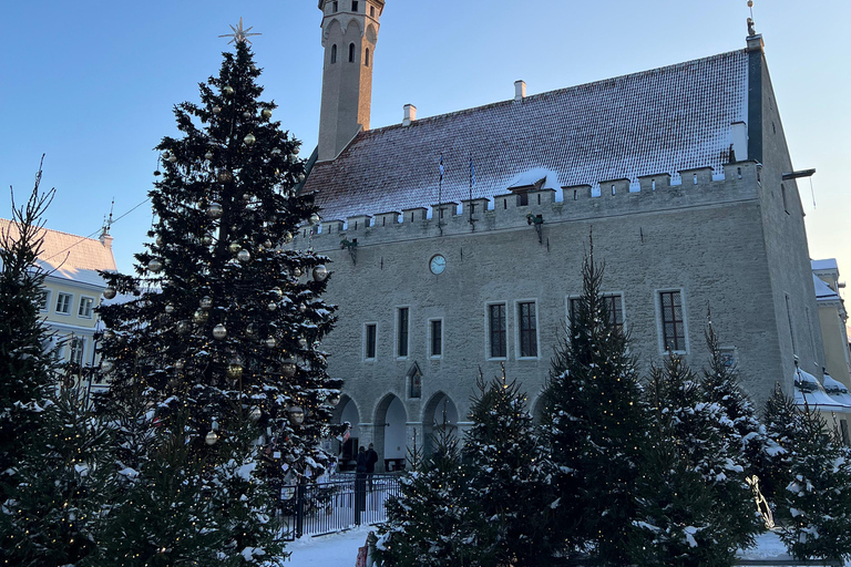 Tallinn: Old Town Walking Tour with Guide