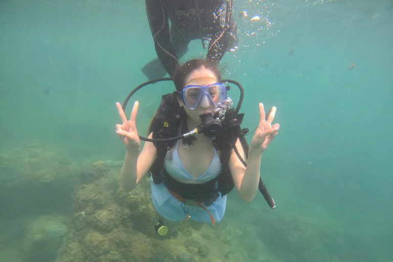 Da Nang/Hoi An: Immersione alle Isole Cham con un istruttoreDa Nang/Hoi An: Immersioni alle isole Cham con un istruttore