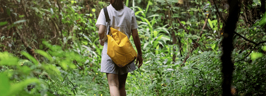 Huatulco : Randonnée dans le parc national et plongée en apnée