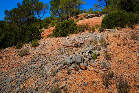 Aix-en-Provence: Hiking near Bimont Dam with Cinematic Reel