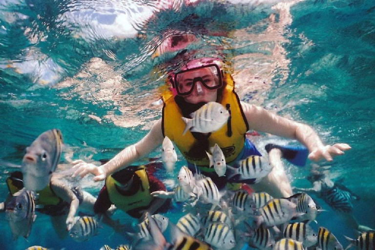 Bali: Nusa Dua Amazing Snorkeling Bezpłatny odbiór z obszaru Nusa Dua