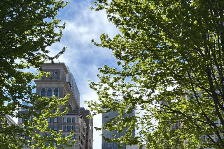 Chicago: Millennium Park Tour with Art Institute Ticket