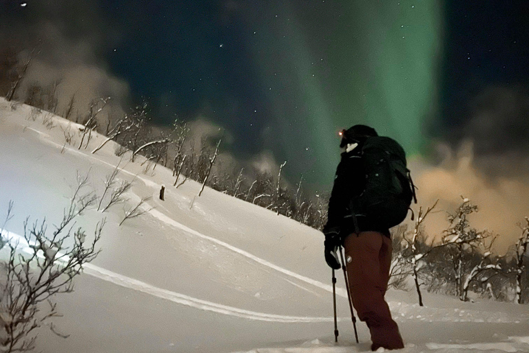 Tromsø: Ski/Randonnee Guided Tour Private tour
