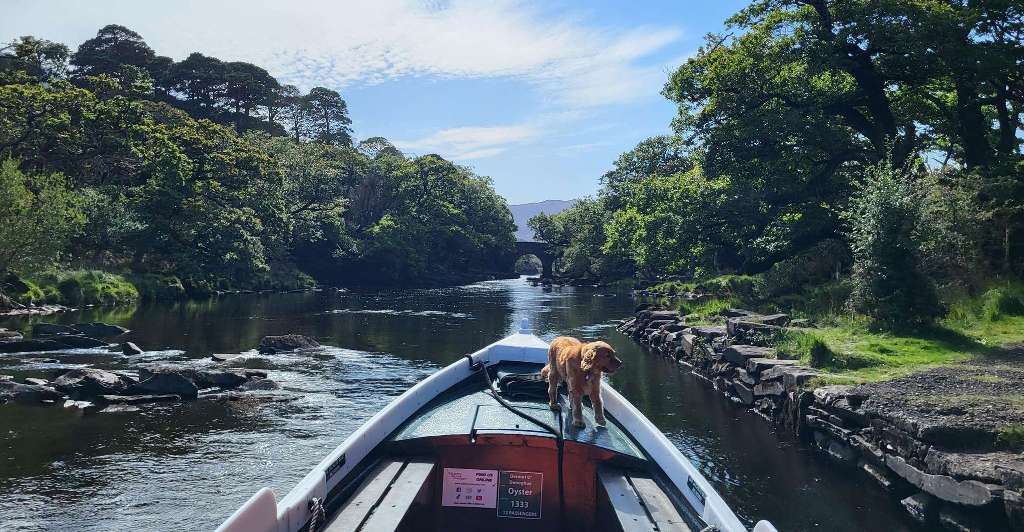 Killarney, Gap of Dunloe Day Tour - Housity