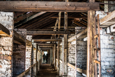 Da Cracovia: Tour guidato di Auschwitz-Birkenau e opzioni di ritiroTour in spagnolo con servizio di prelievo in hotel