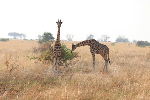 Livingstone: Mosi-oa-Tunya Park, Falls & Sunset Cruise