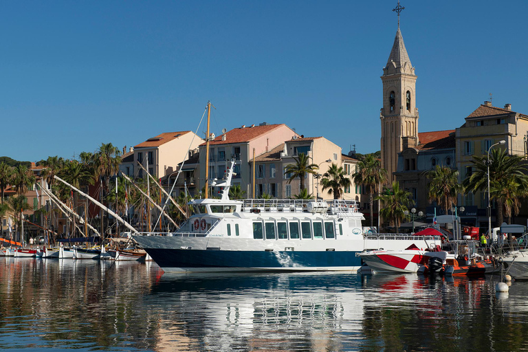 Sanary-sur-Mer: Tour of the Calanques of Cassis and Marseille 7 coves outing