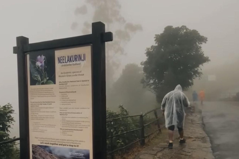 De Kochi a Munnar: Eravikulam, finca de té y cascadas