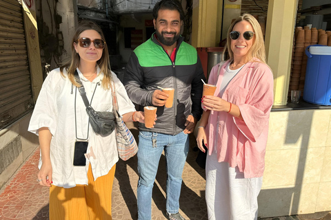 Jaipur private sightseeing tour Half / Full-Day with guide Half-Day Tour by Car & Driver